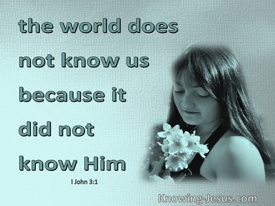 1 John 3:1 What Love That We Are Called Children Of God (aqua)